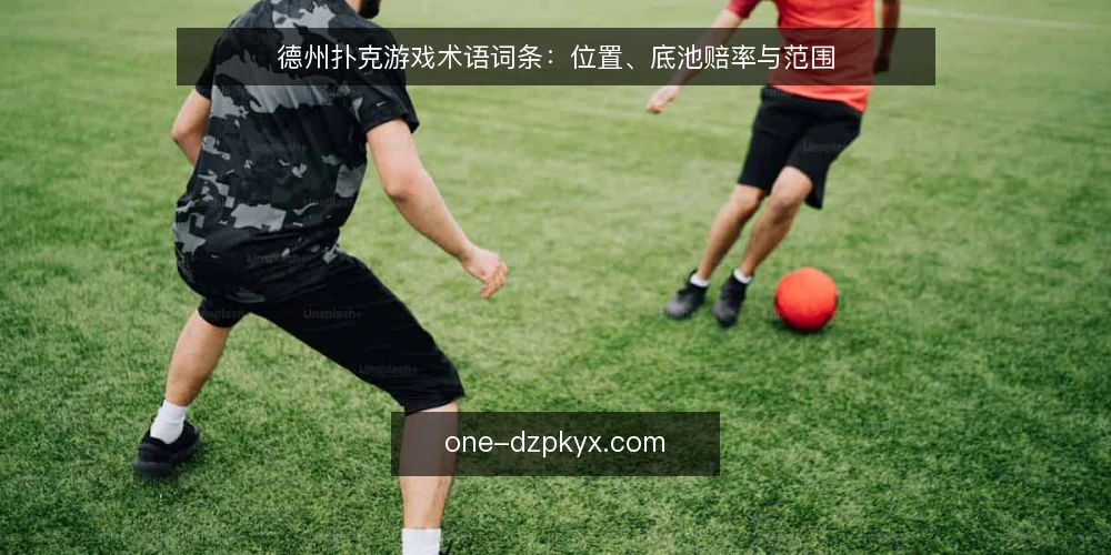 德州扑克游戏术语词条:位置、底池赔率与范围 — 核心术语与决策标准 配图