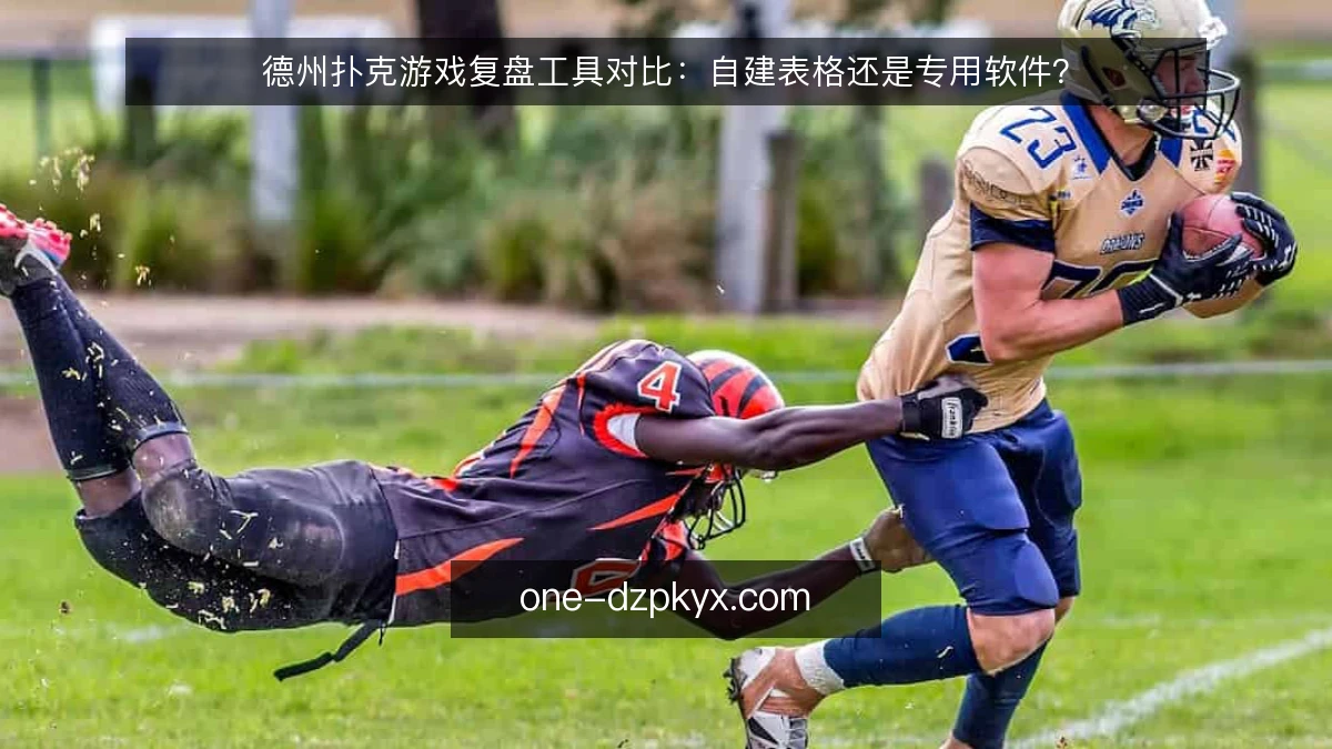 德州扑克游戏复盘工具对比：自建表格还是专用软件？