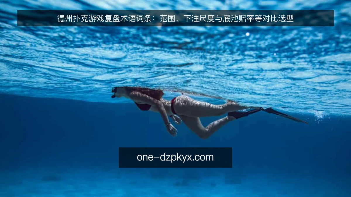 德州扑克游戏复盘术语词条:范围、下注尺度与底池赔率等对比选型